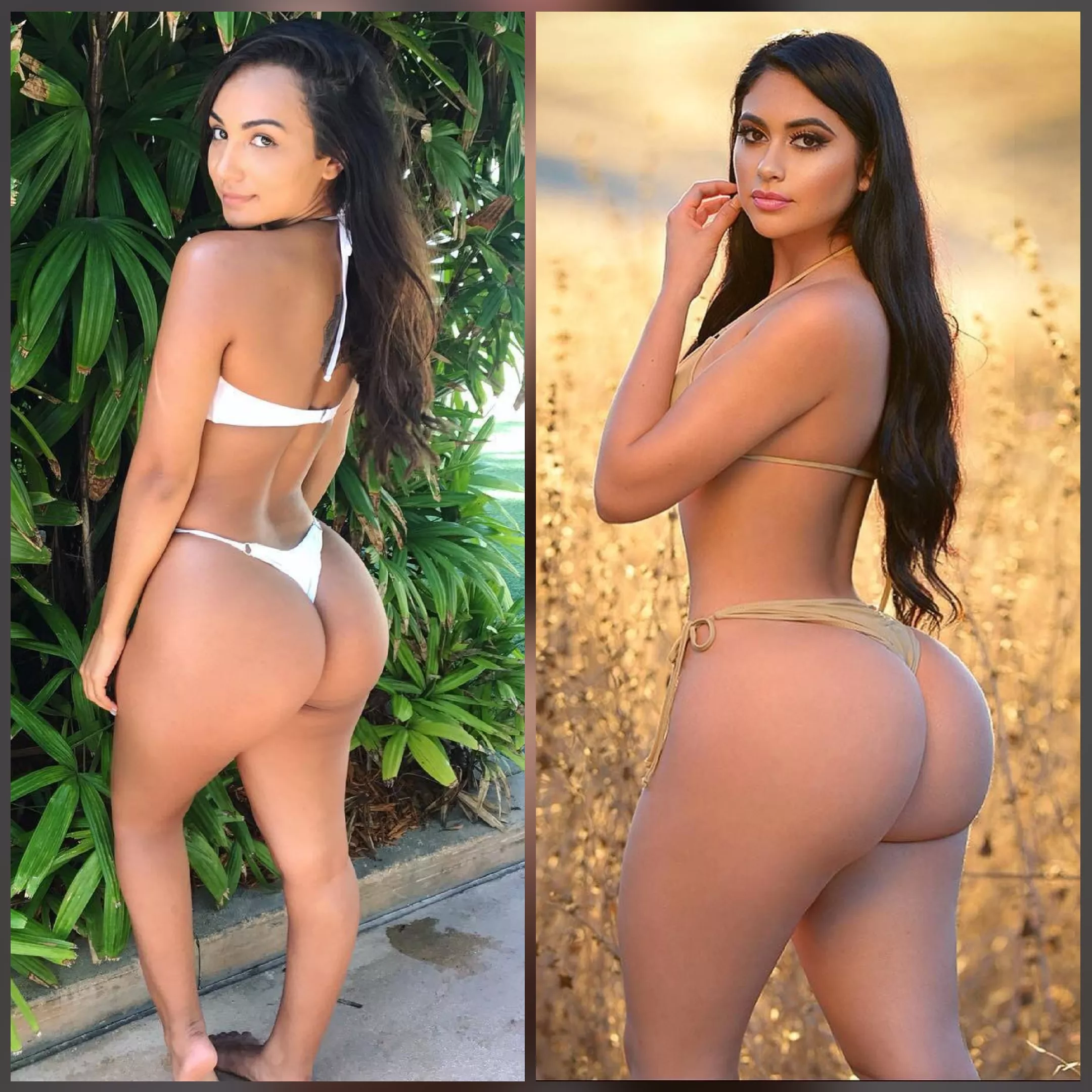 Which ass are you choosing ? [2]