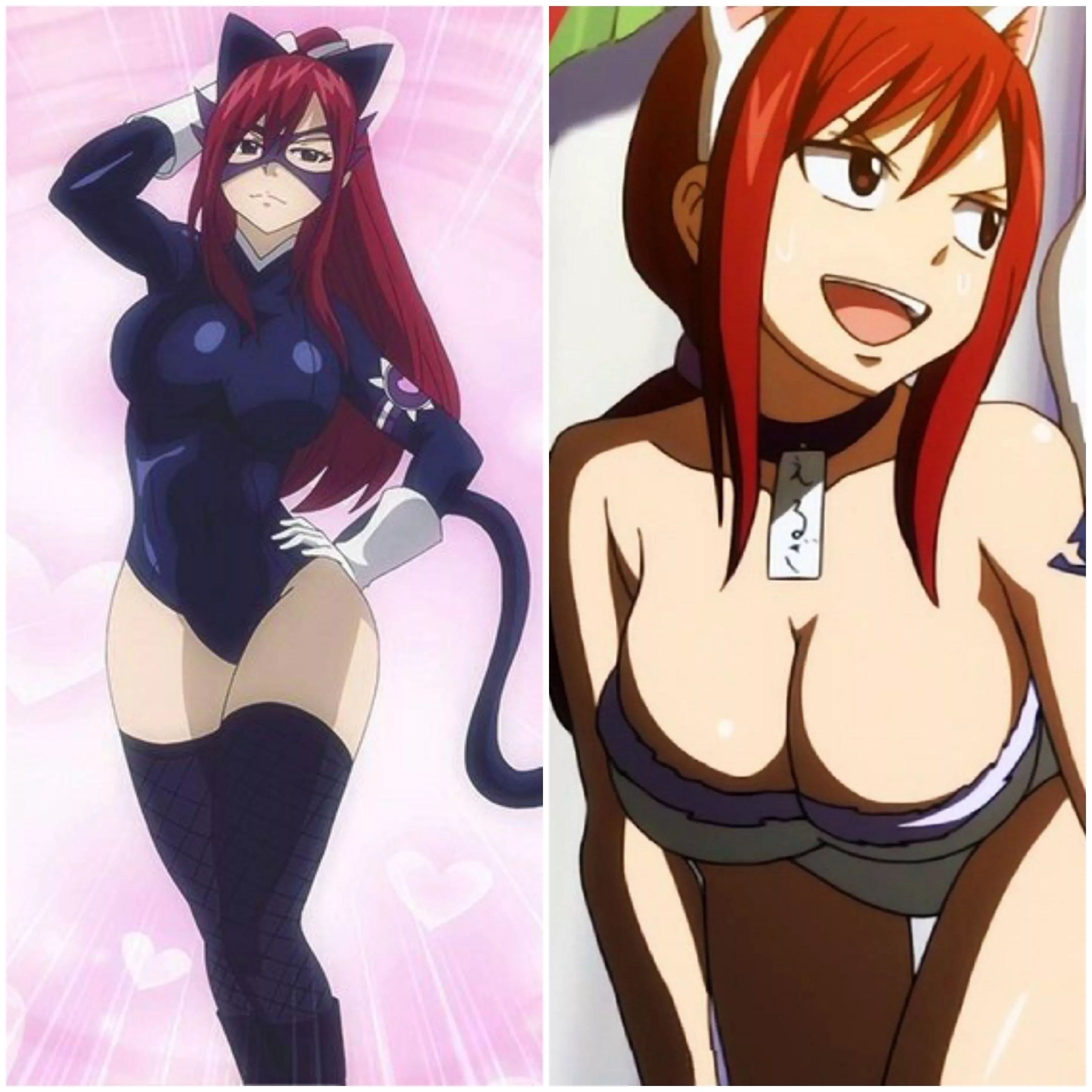 Which Cat Erza costume in your favorite?