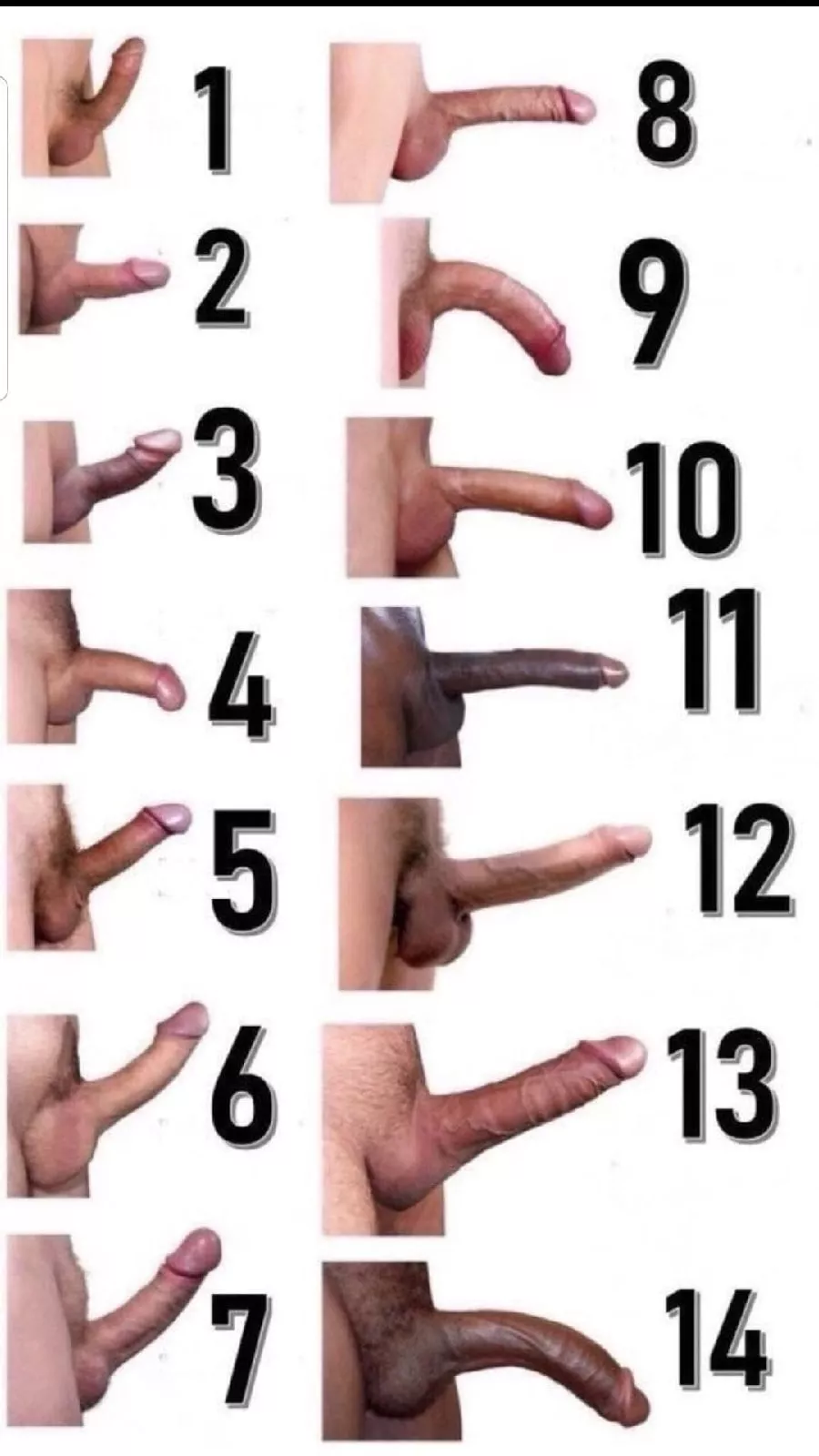 Which of them is your penis? I'm (2)