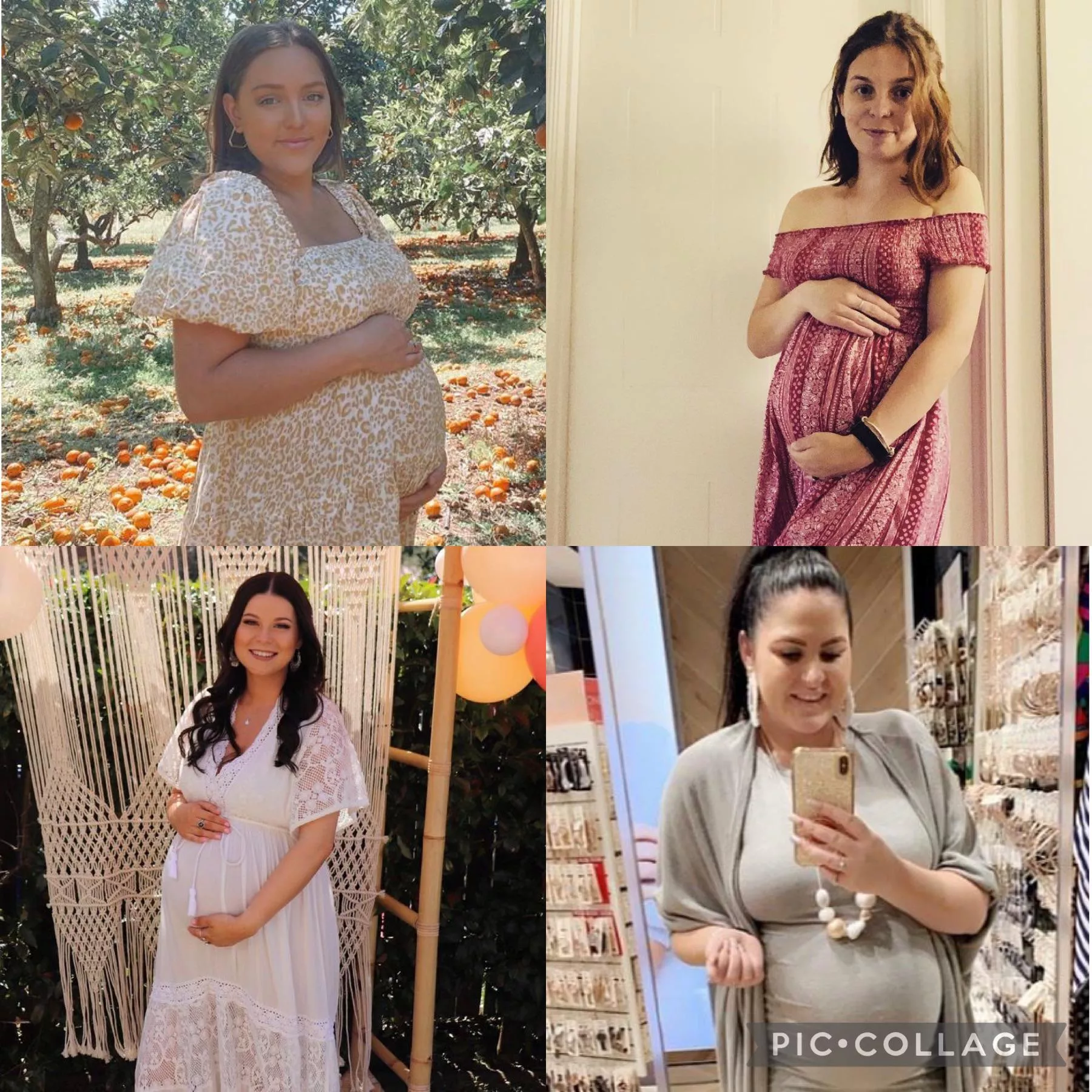 Which pregnant women would you like to leave your seed in?