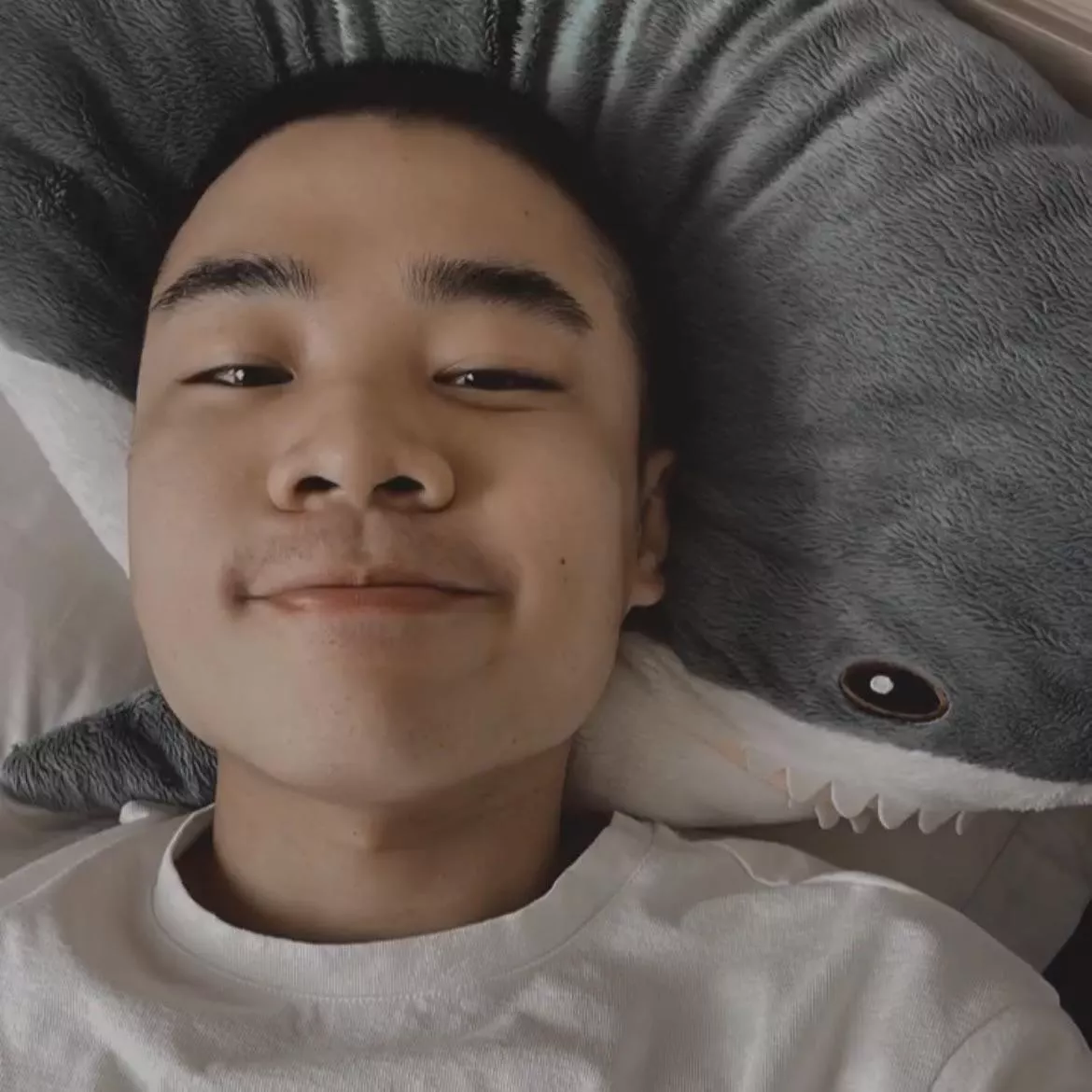 Who also loves to spend their Sunday in bed? 🦈💤