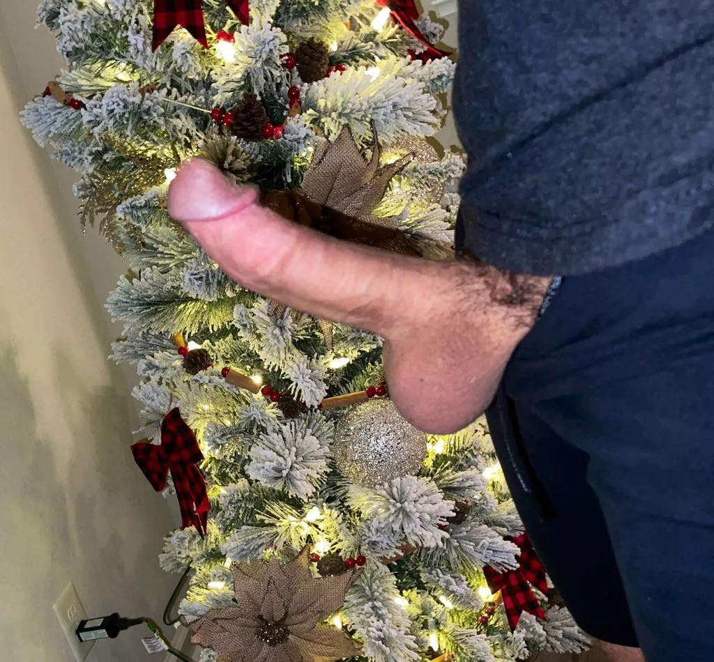 Who elseâ€™s Christmas tree is up already?