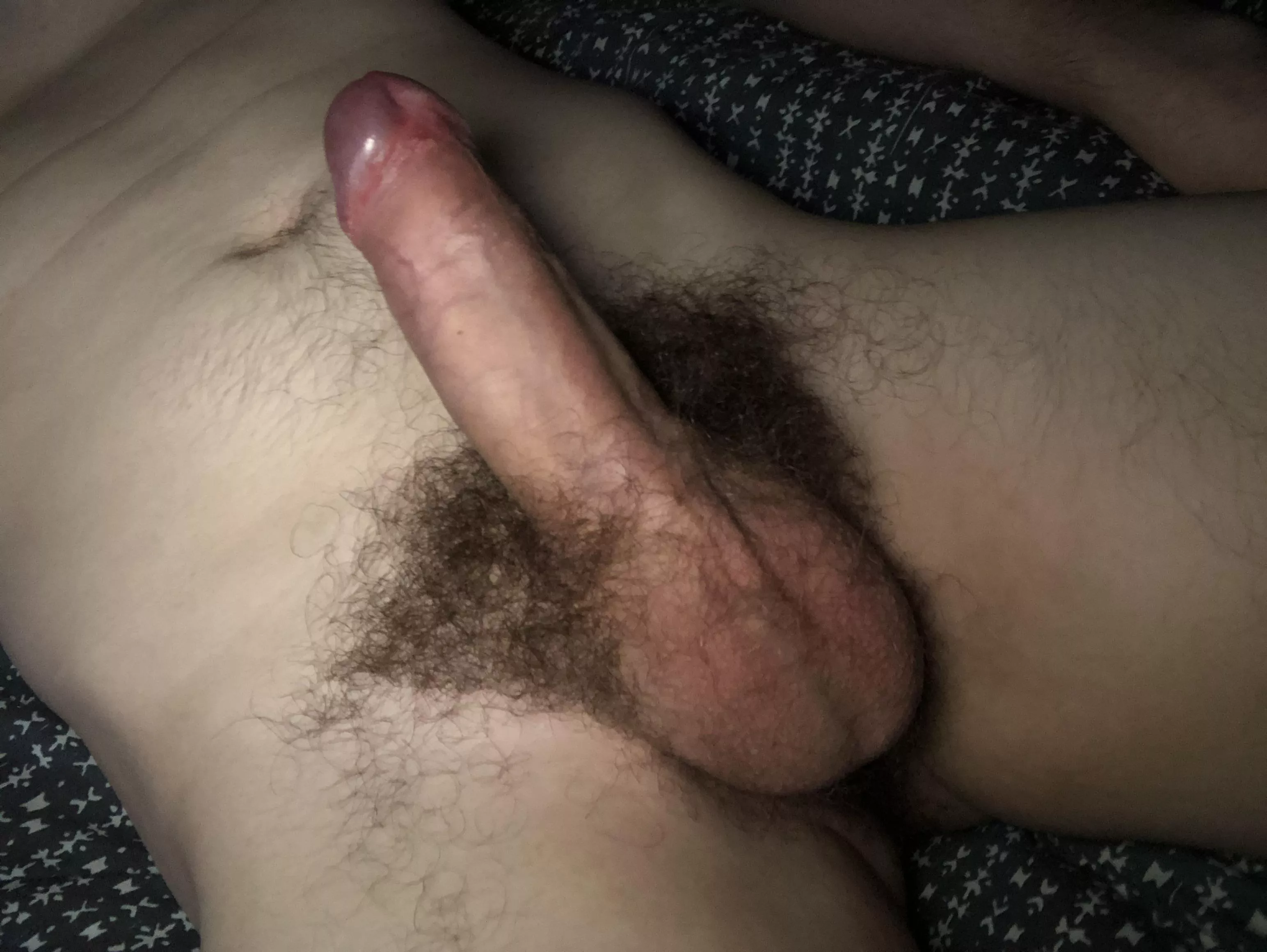 Who likes a bushy cock and balls?