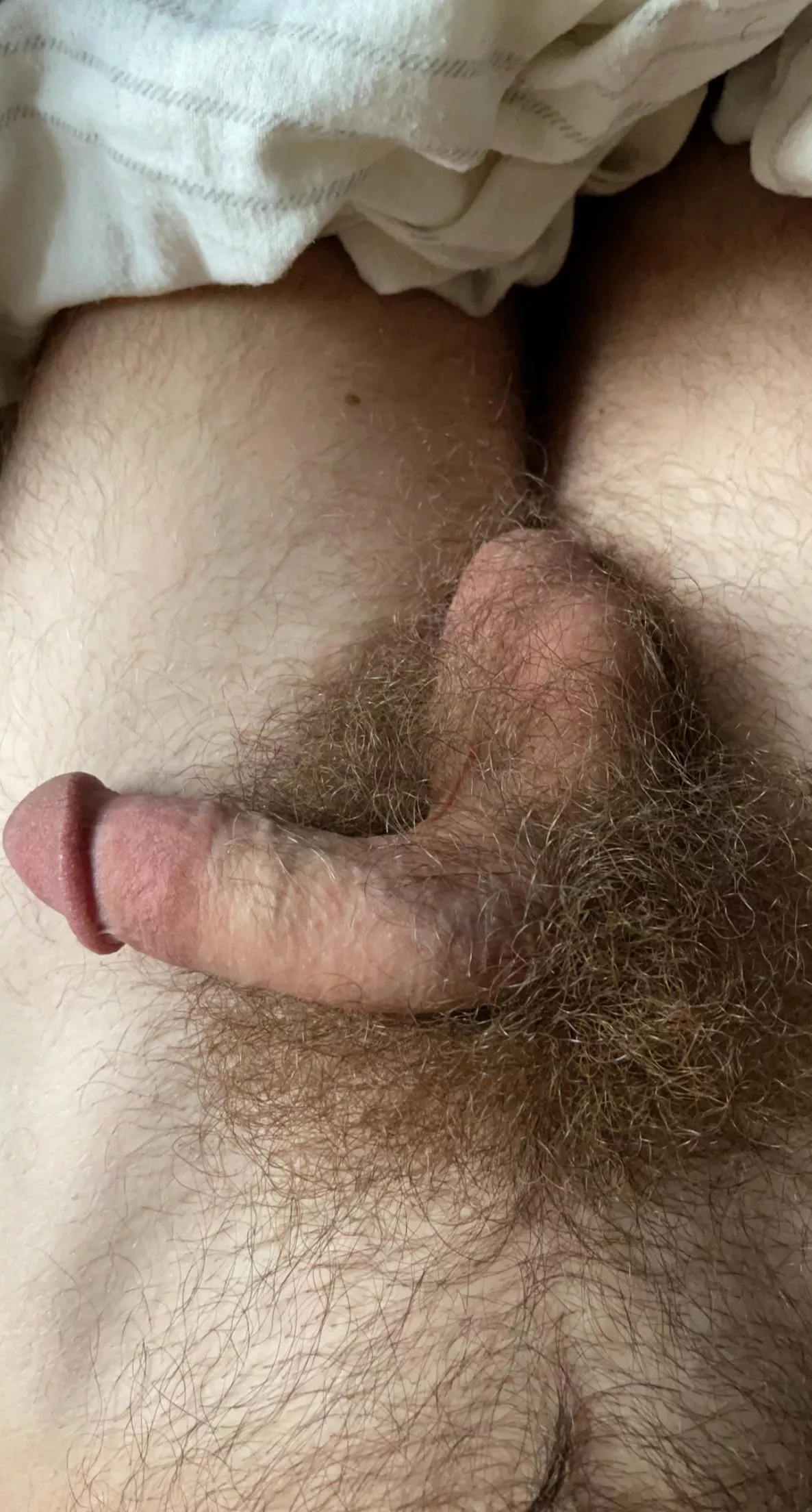 Who likes hairy balls?