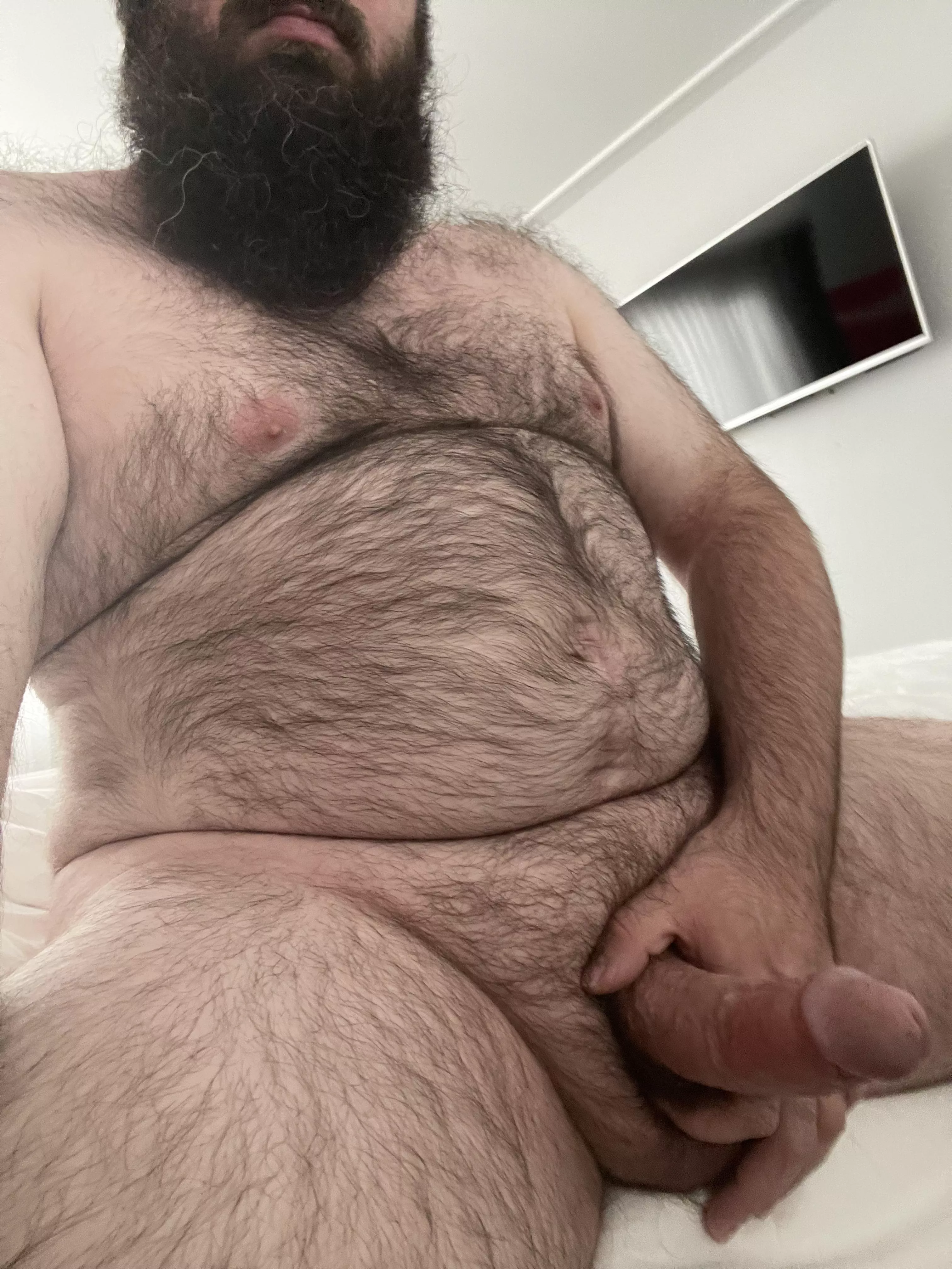 Who wants to be fed bear meat for Thanksgiving? (35)