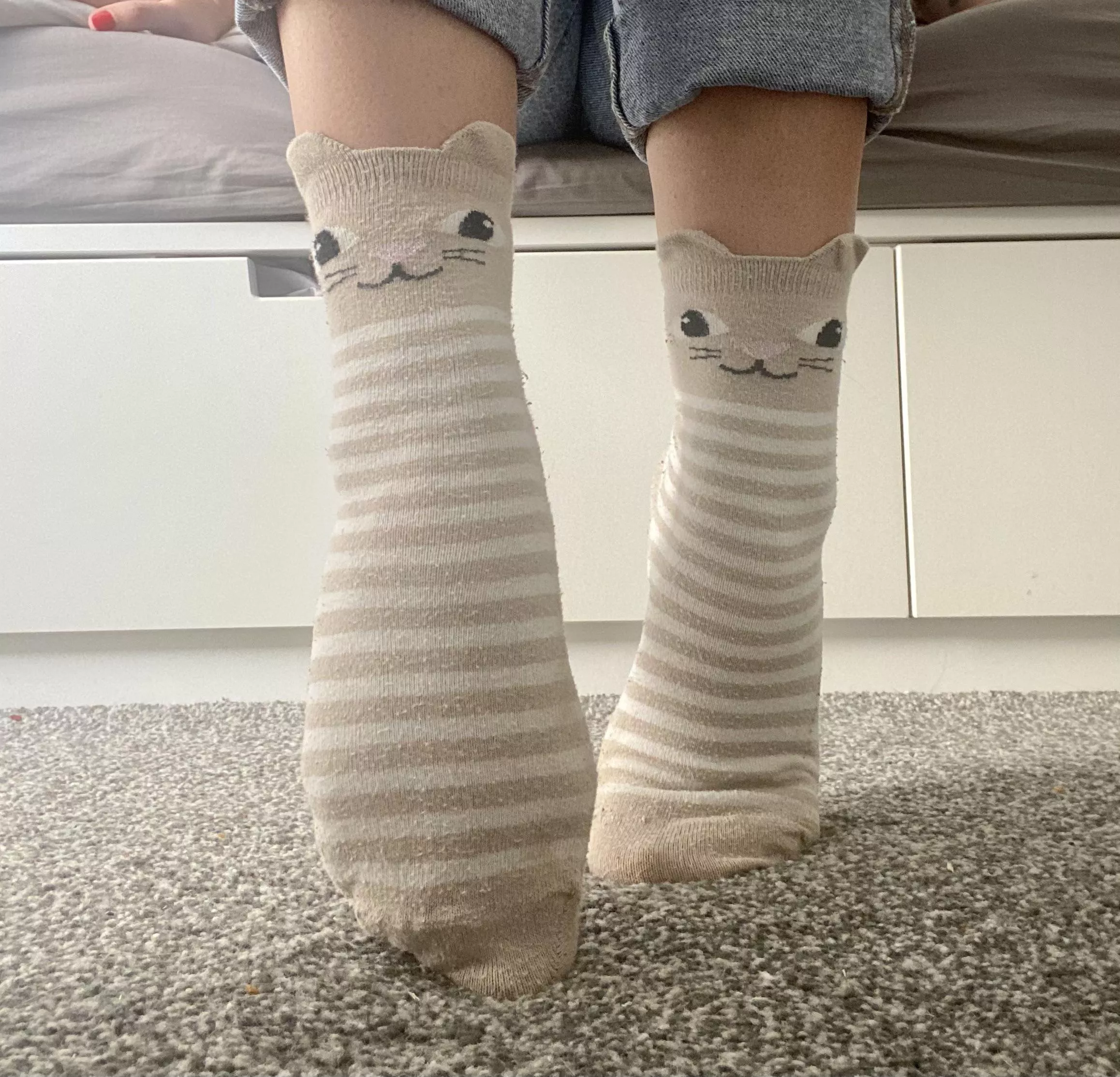 Who wants to see my â€¦ socksðŸ±