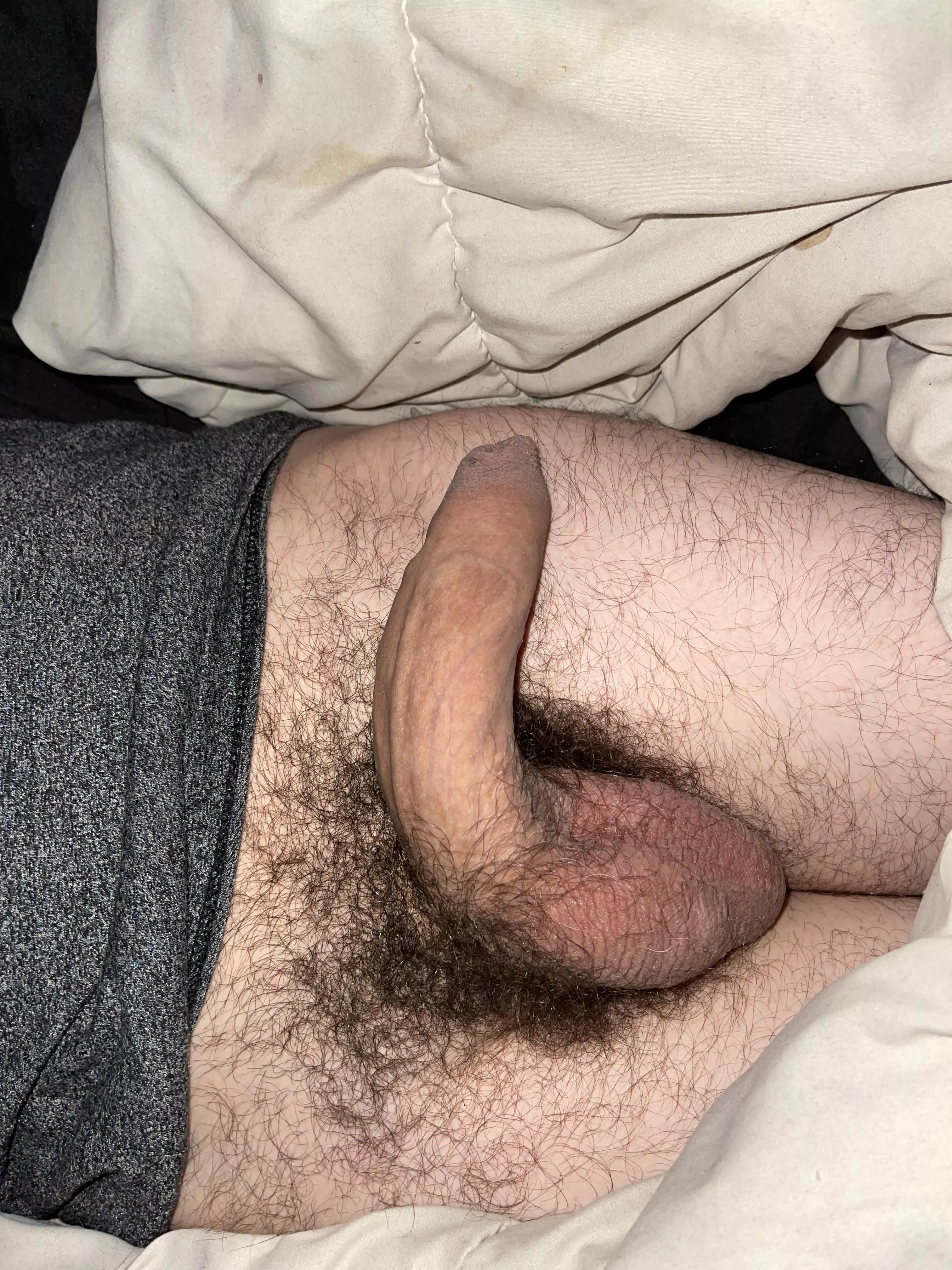 Who wants to suck me hard