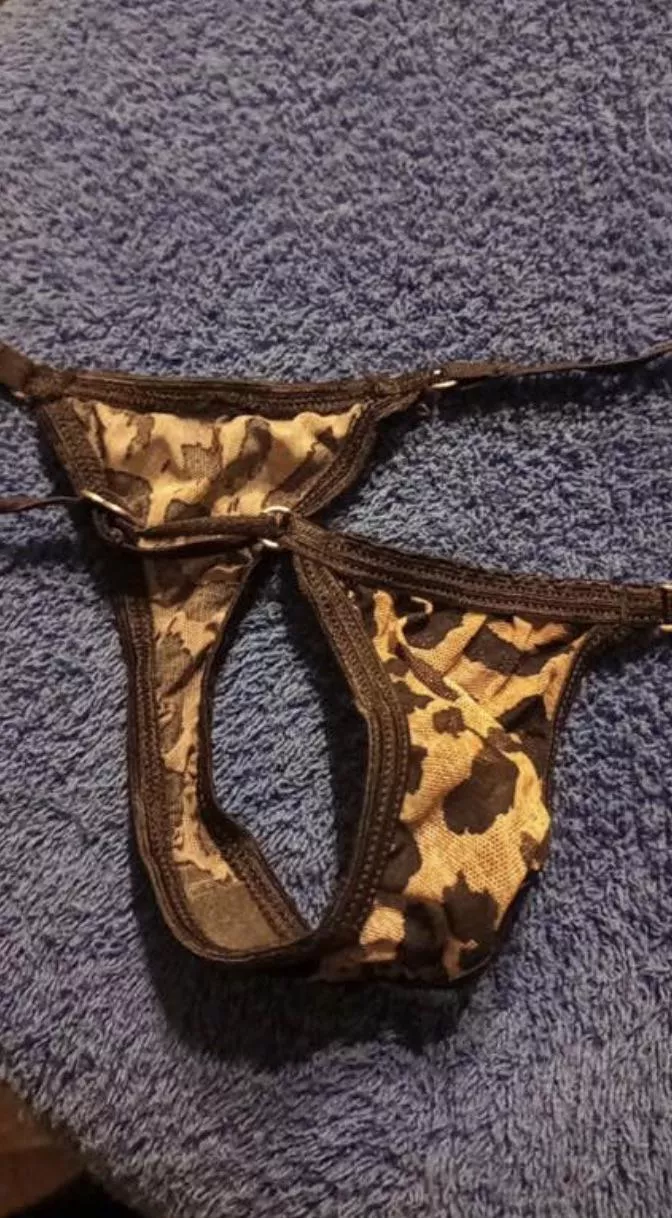 Wife thongs, trade dm