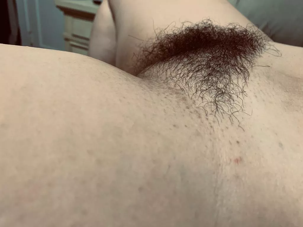 Wife’s hairy pussy mound