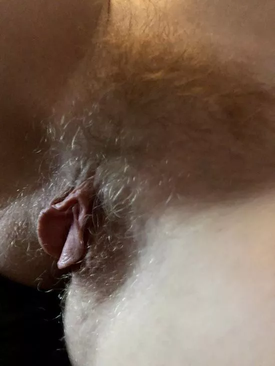 Wifeâ€™s very Wild Furry Blonde Pussy and wide open Big Meaty Labia.