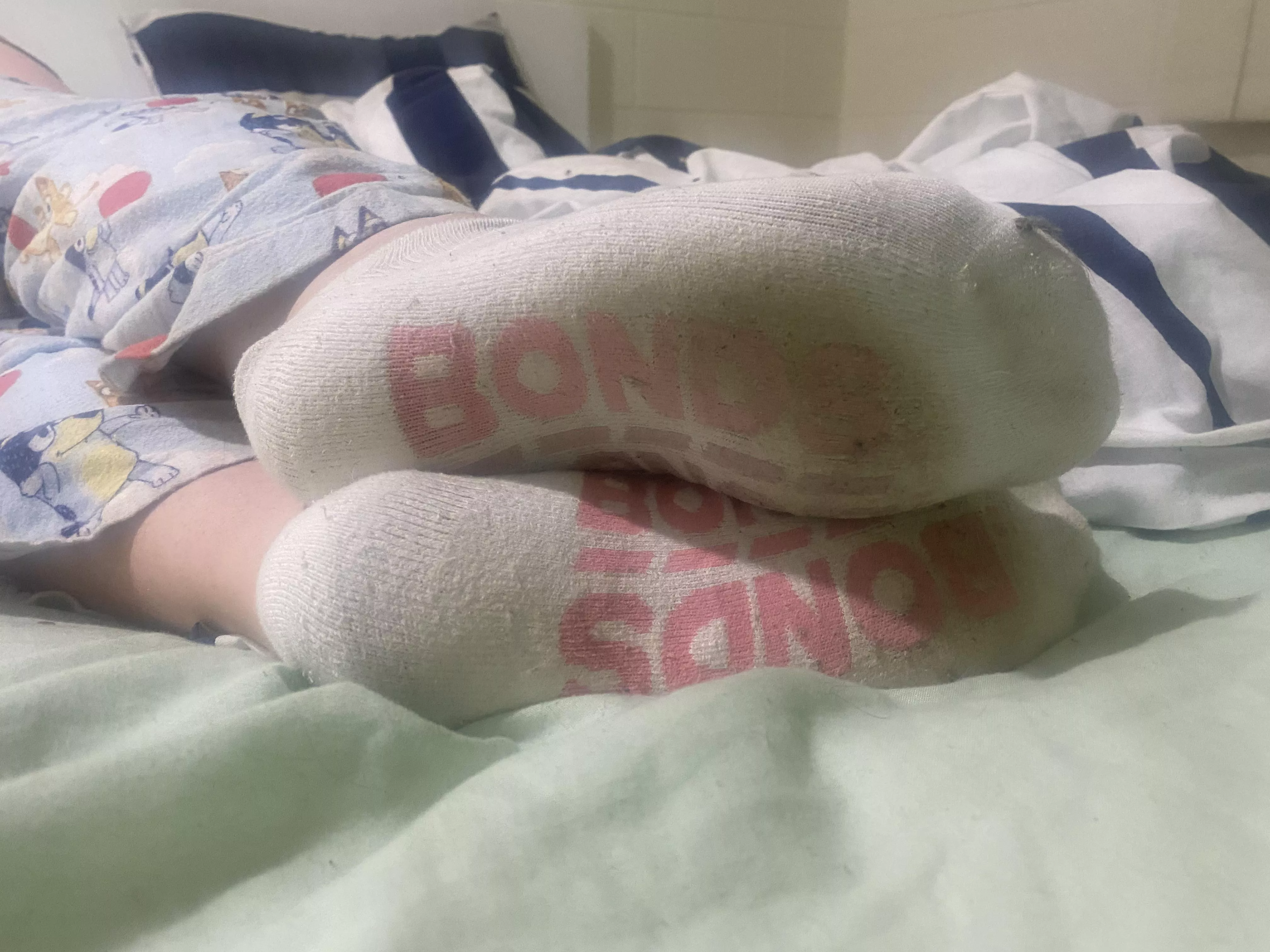 Wife’s white bonds ankle socks