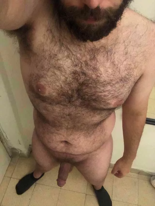 wild beard and hairy chest