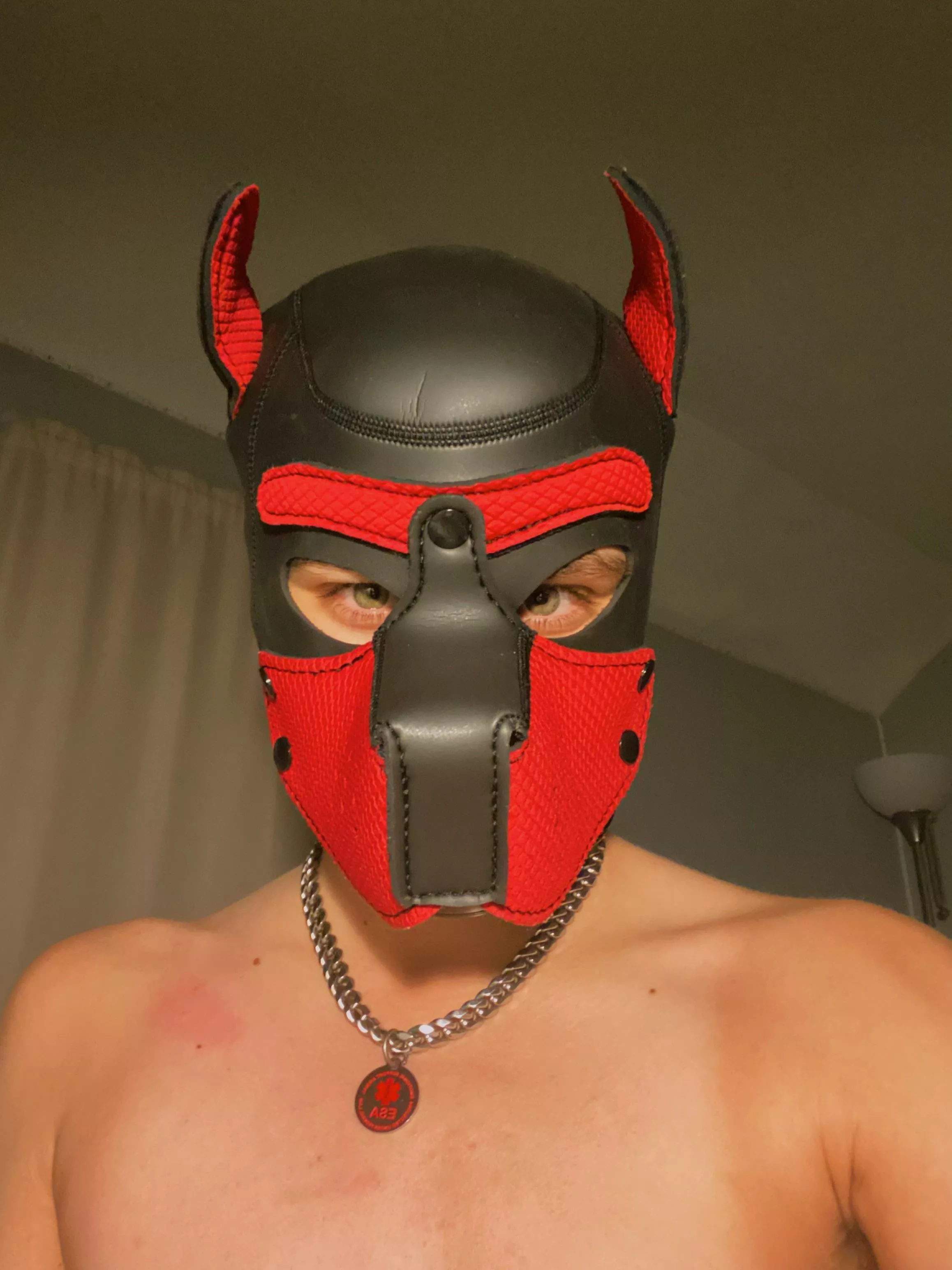 Will you pet this pup?