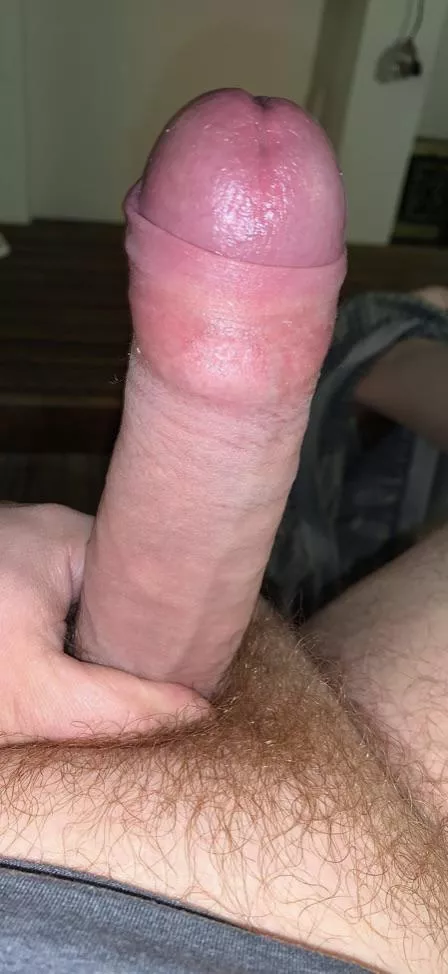 Wish I had a warm mouth to swallow this throbbing cock down to the base and slowly milk a load out to paint their face with