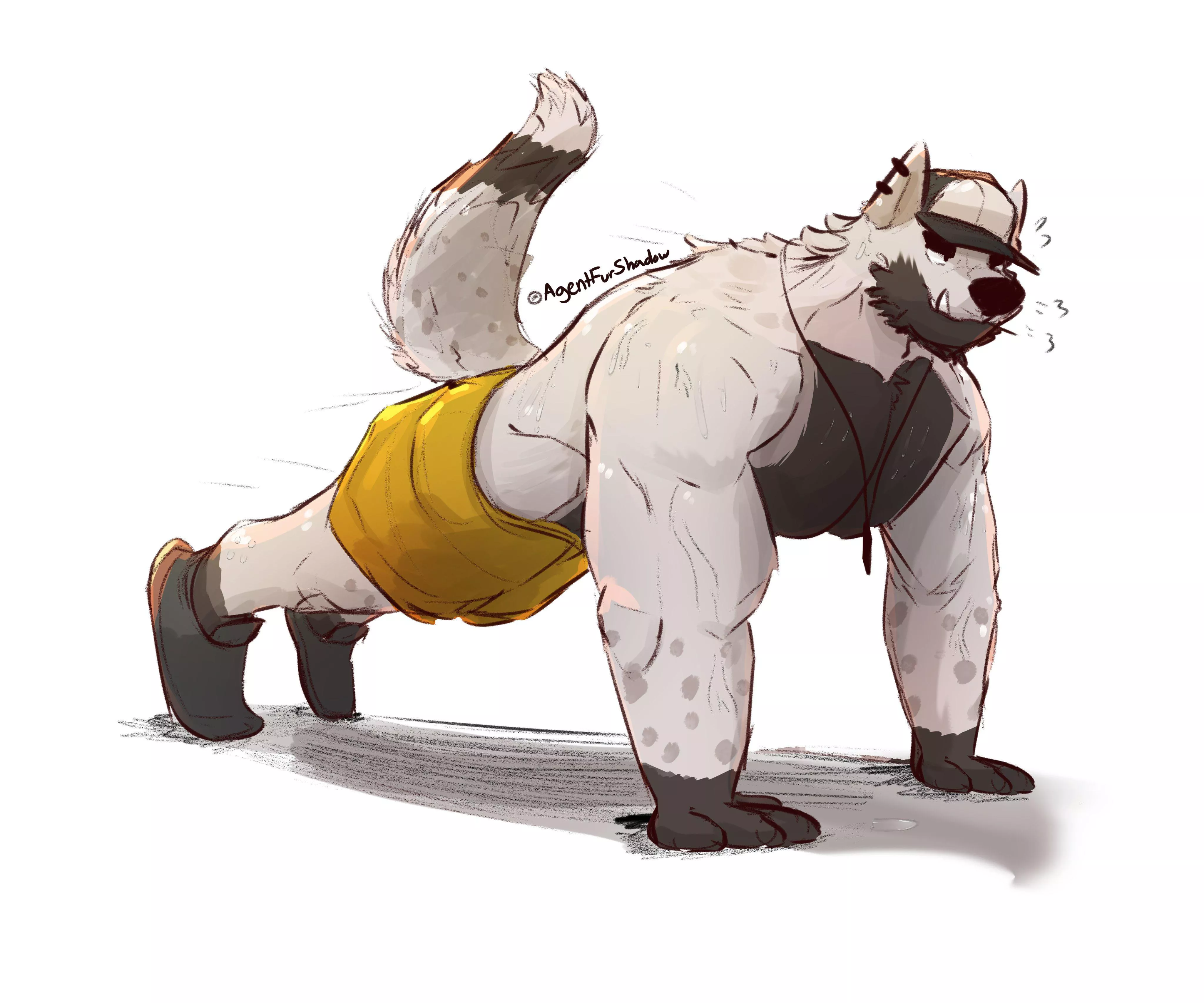 Wolf working out