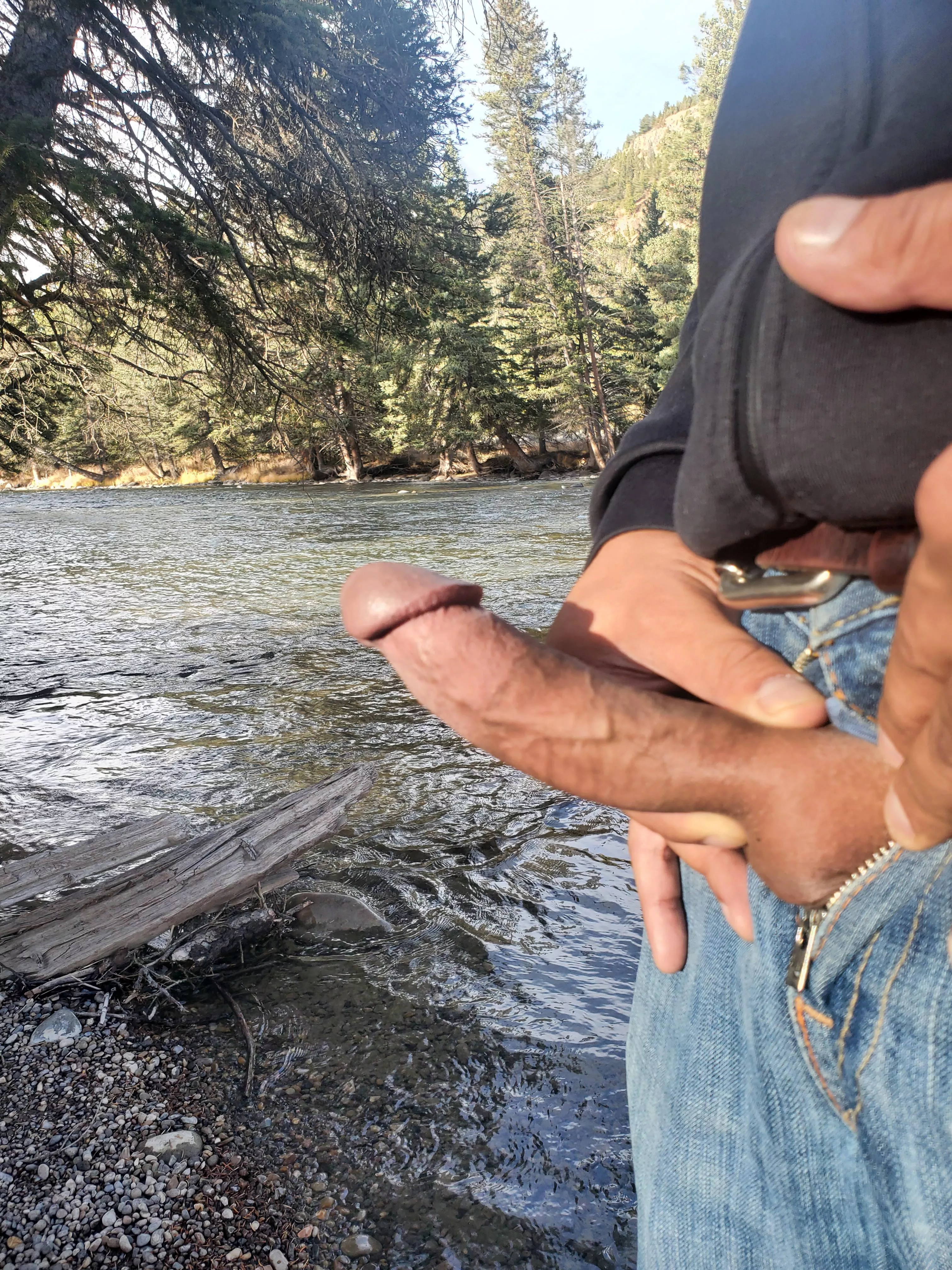 Wood by the river.