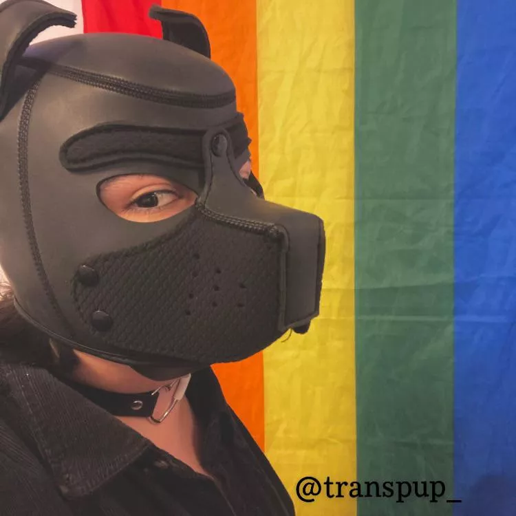 woof ~ [he/they] 🖤