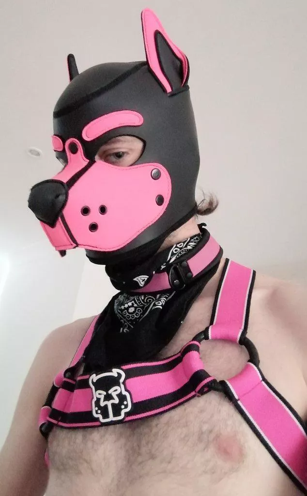 Woof~ 🐾