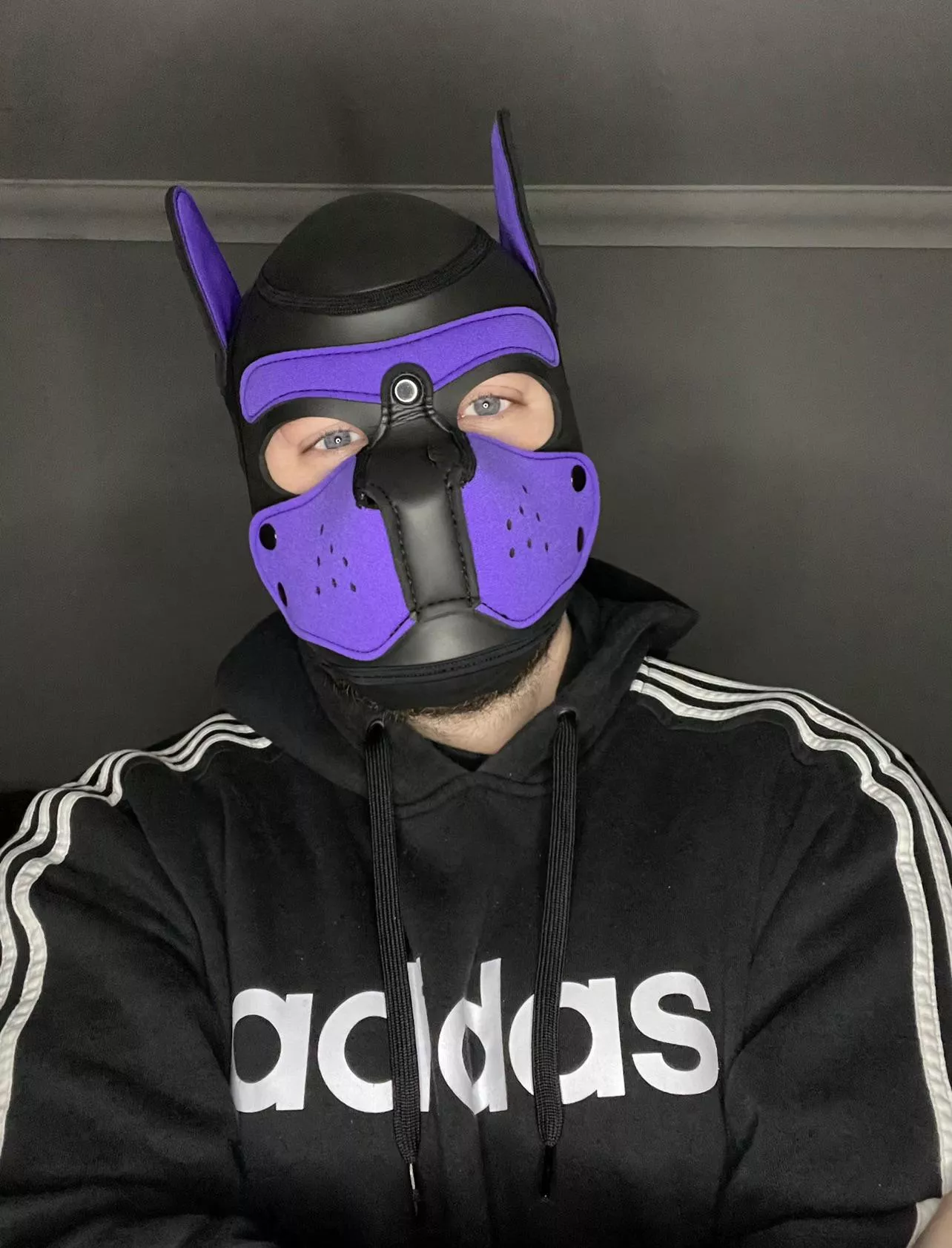 Woof! New Pup in town. Would love to connect and meet many ire pups from all over the world. I do have Instagram too if you want to follow me there. @Pup.spencer ~ canâ€™t wait to hear from you all and see your hoods. Wruff