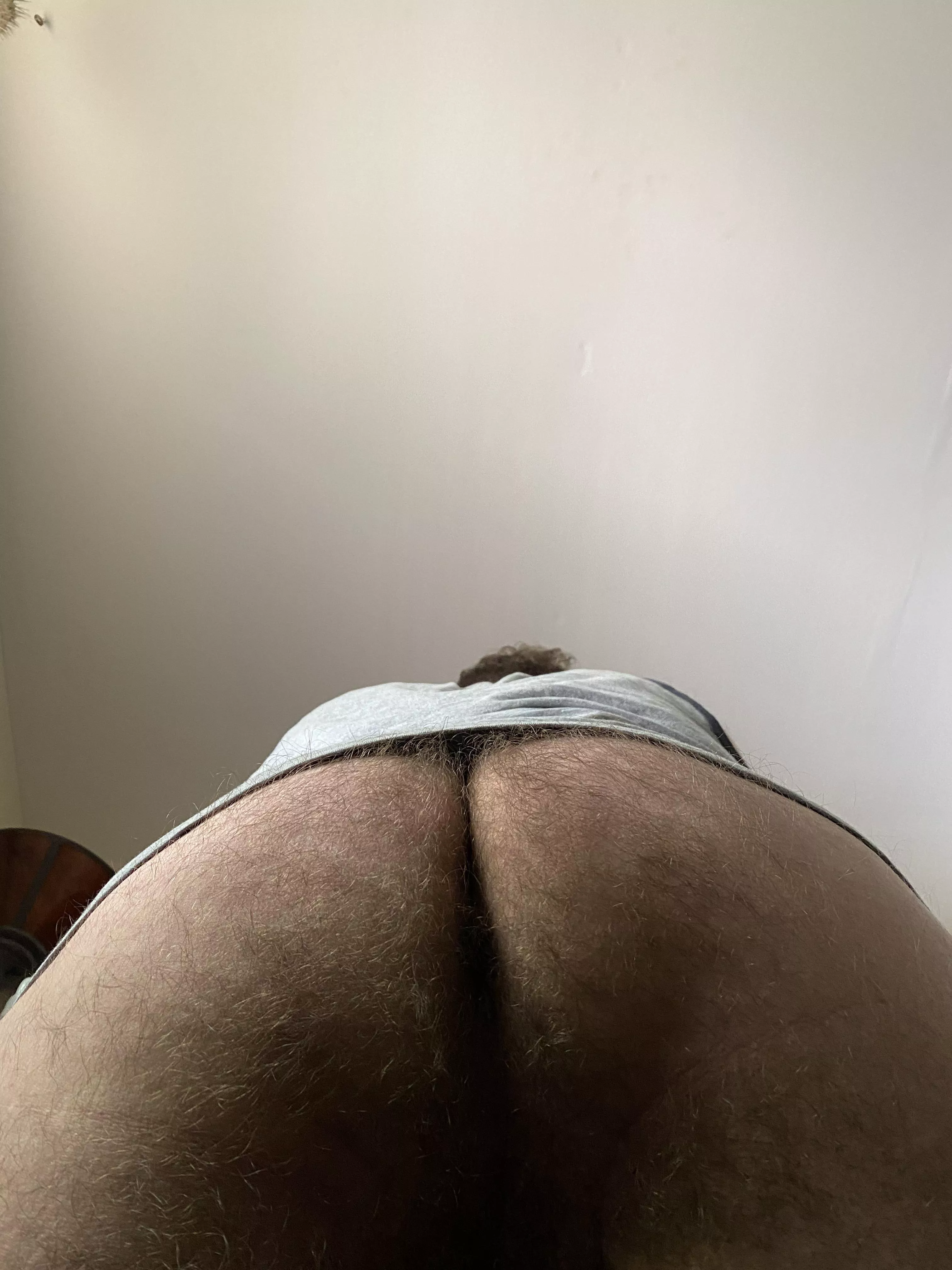 Working from home. Come eat my ass while I’m on a zoom meeting.