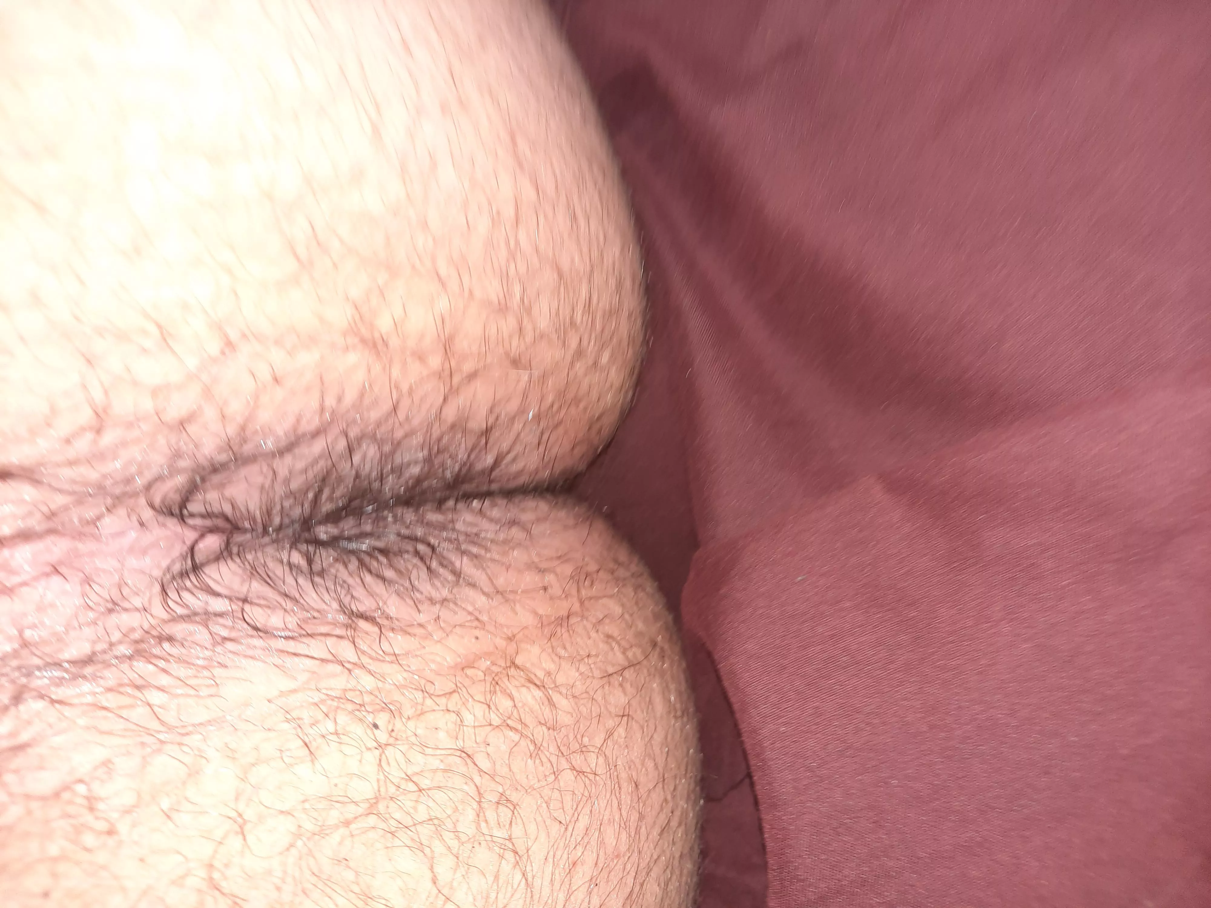 Would love for someone to eat my ass