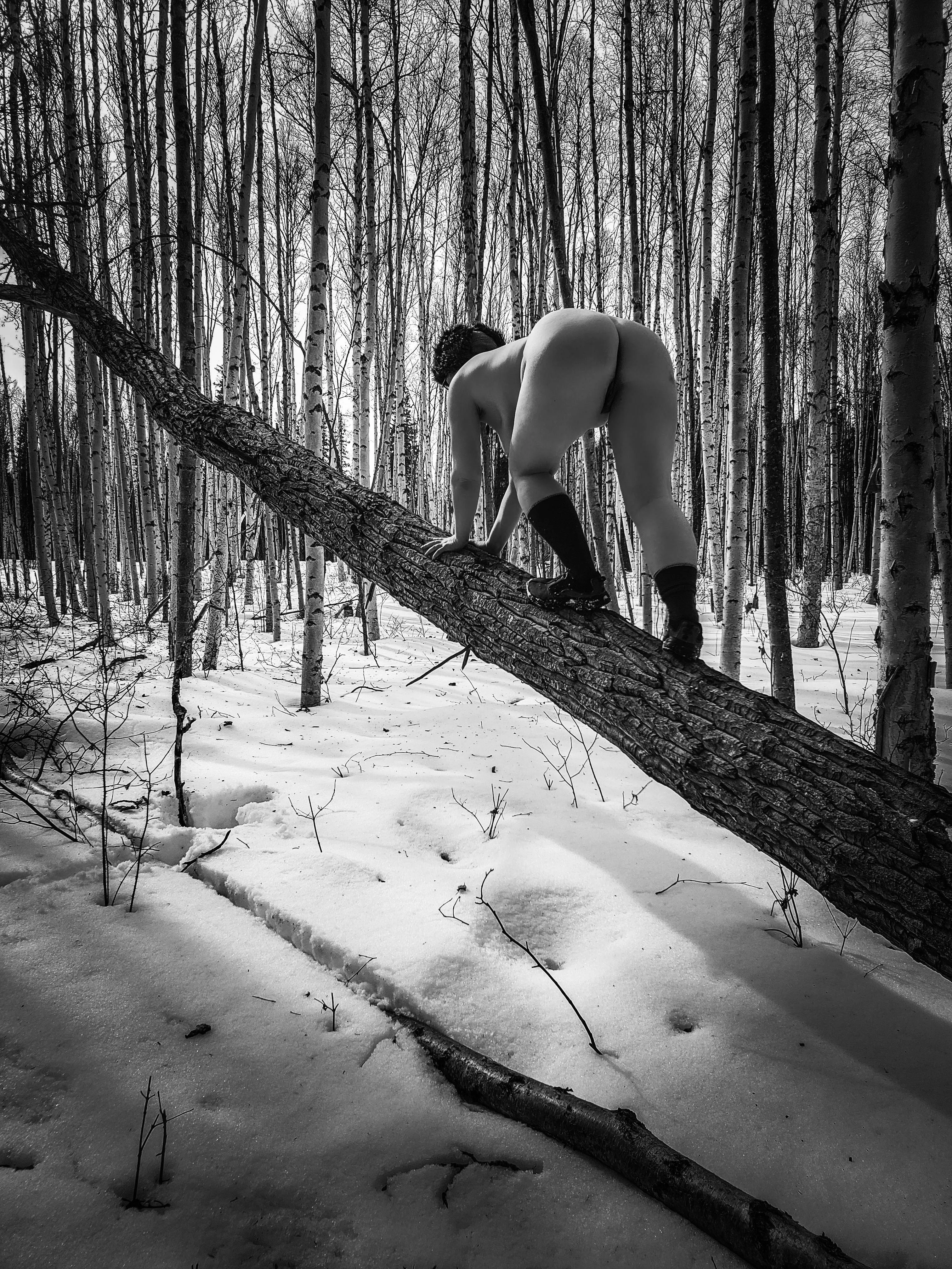 Would you follow me up this tree?