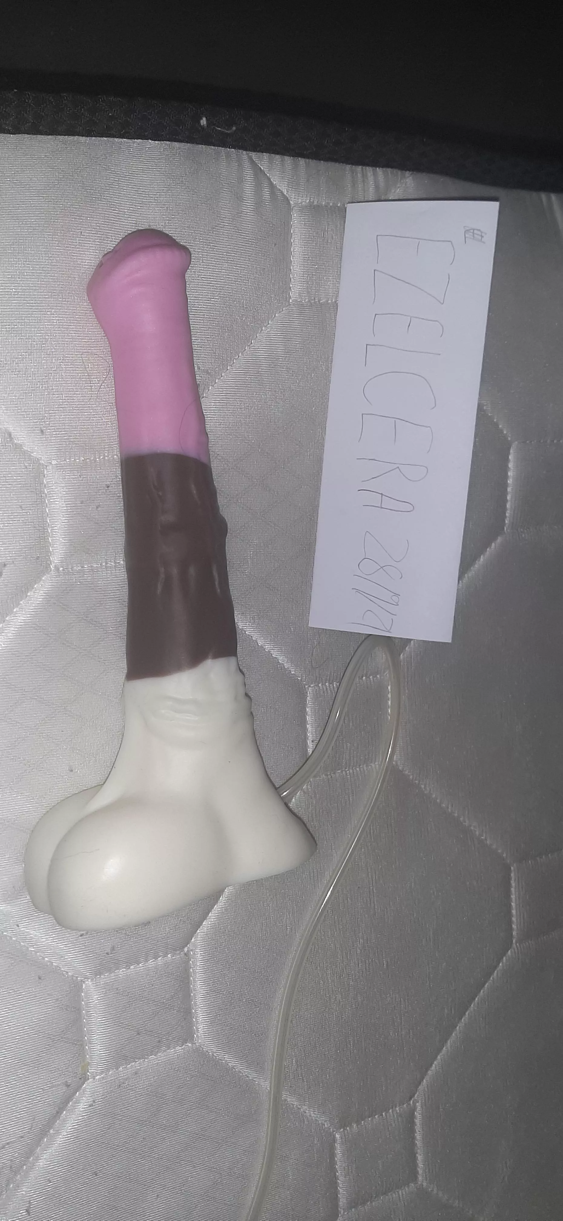 WTS Medium Chance, medium firmness, cumtube, neapolitan colouration, $150AUD OBO