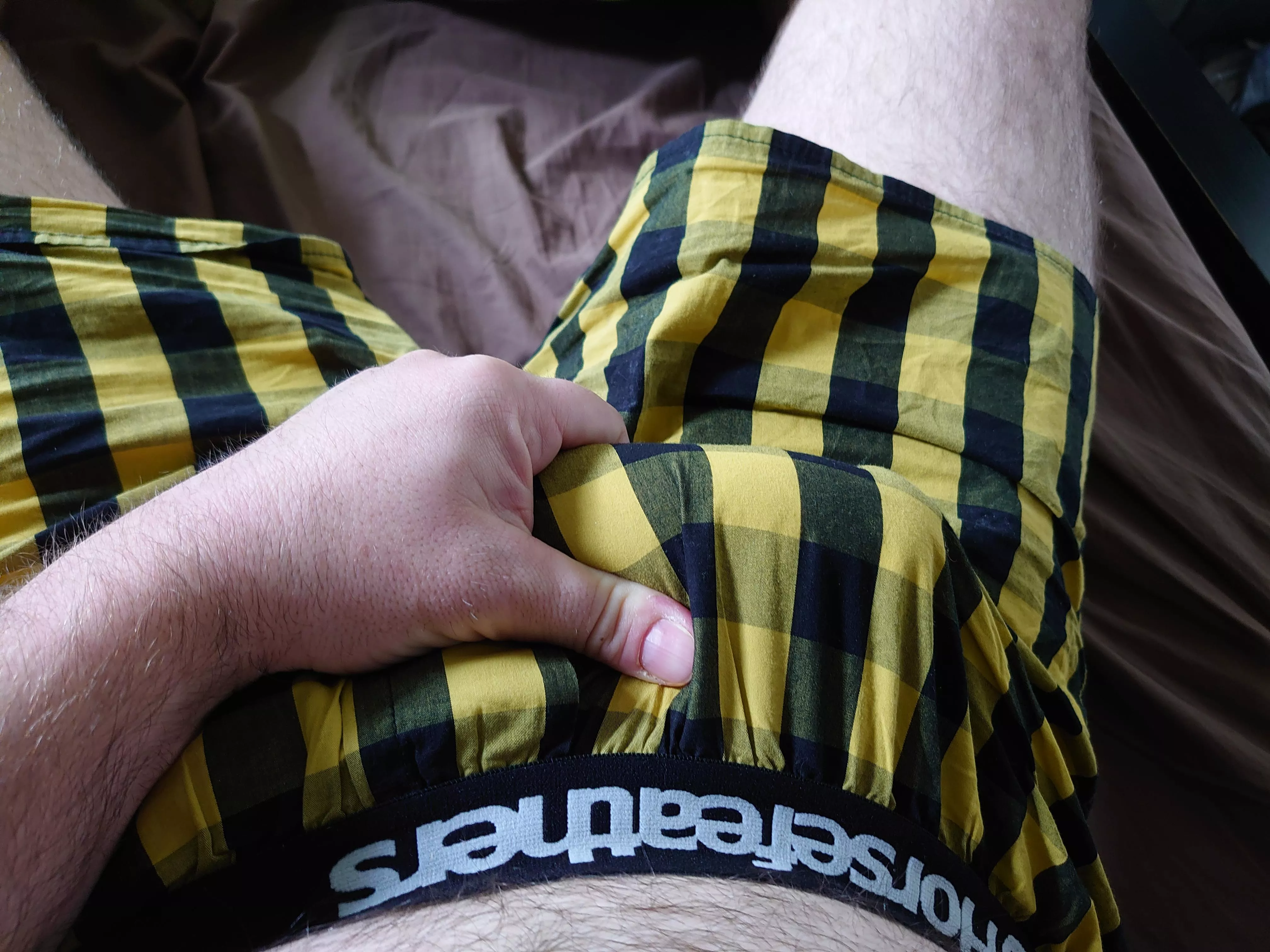 Yellow checked boxer shorts today