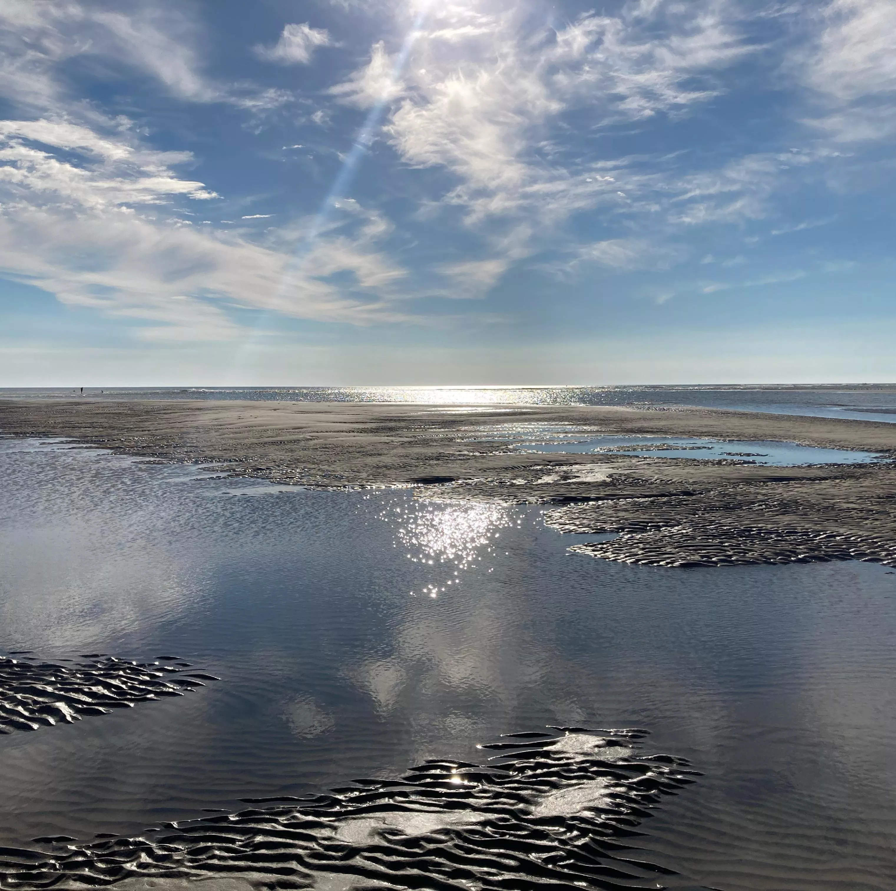 Ynyslas