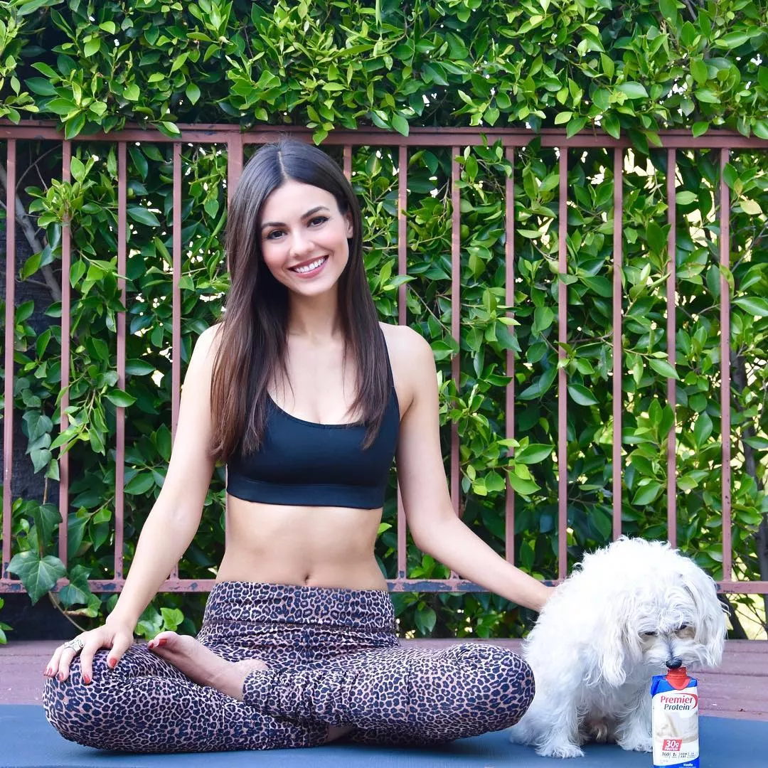 Yoga with doggo