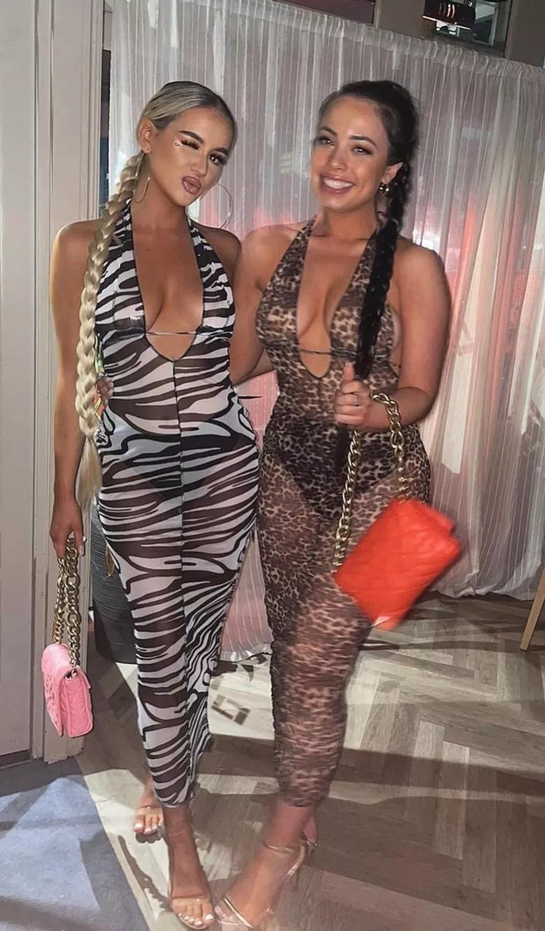 Zebra and leopard