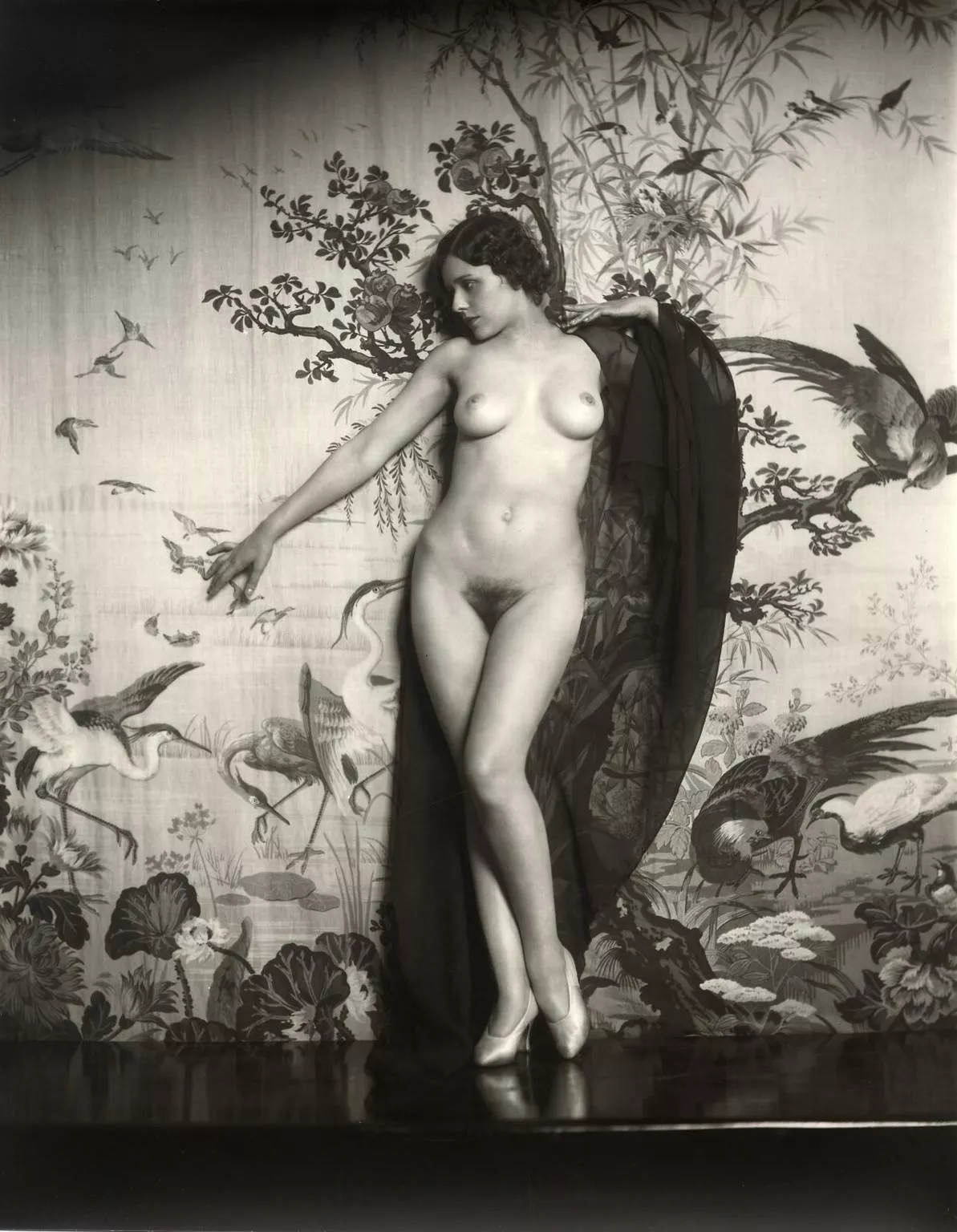 Ziegfeld girl Naomi Johnson by Alfred Cheney Johnston, 1920s